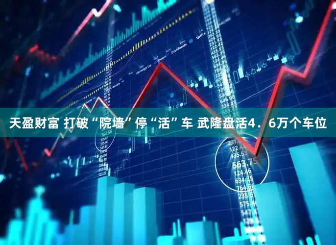 天盈财富 打破“院墙”停“活”车 武隆盘活4．6万个车位